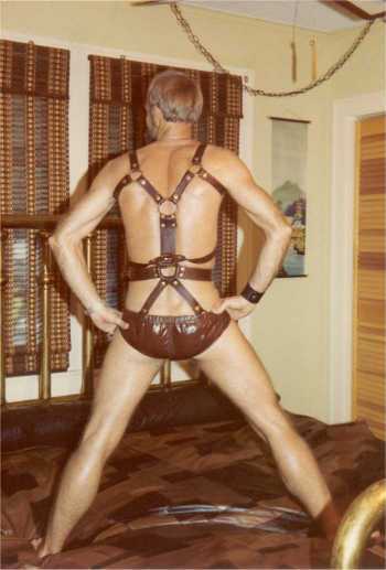 Brass and Brown Harness with First Bikini