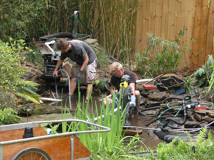 Trying to drain the Leather Oaks Pond