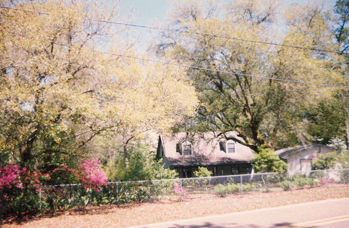 Leather Oaks at Age One