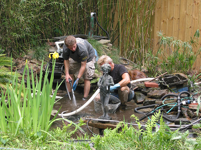 Draining the Pond