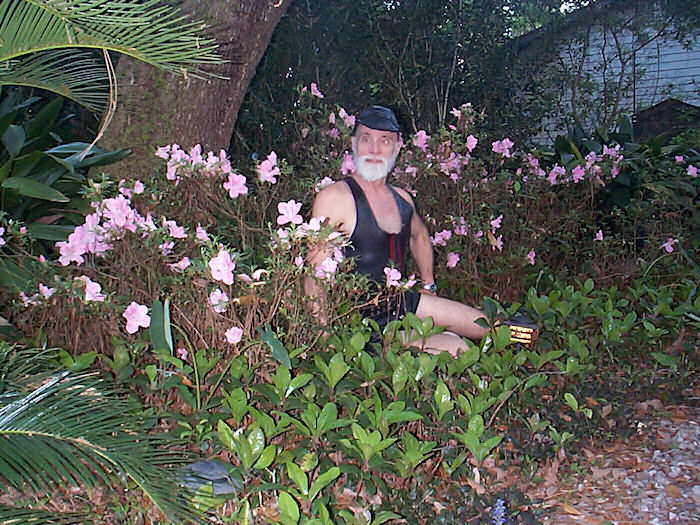 Bedding down with the Azaleas!