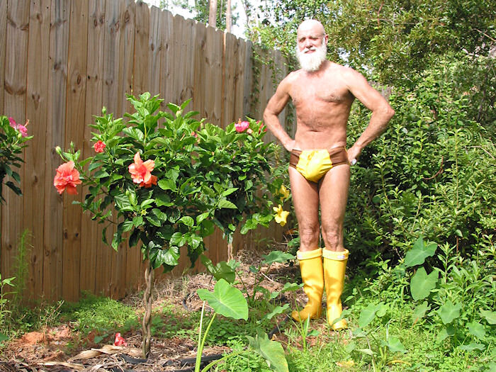 Harold and Hibiscus