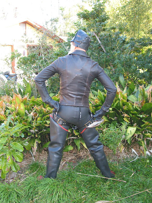 Orca and East West from the rear!