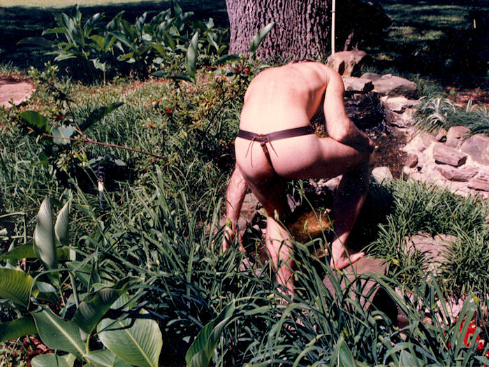 Nut Cuddler Rear view