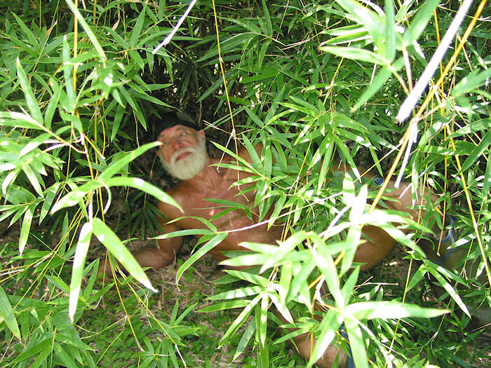 Harold in Bamboo Prison