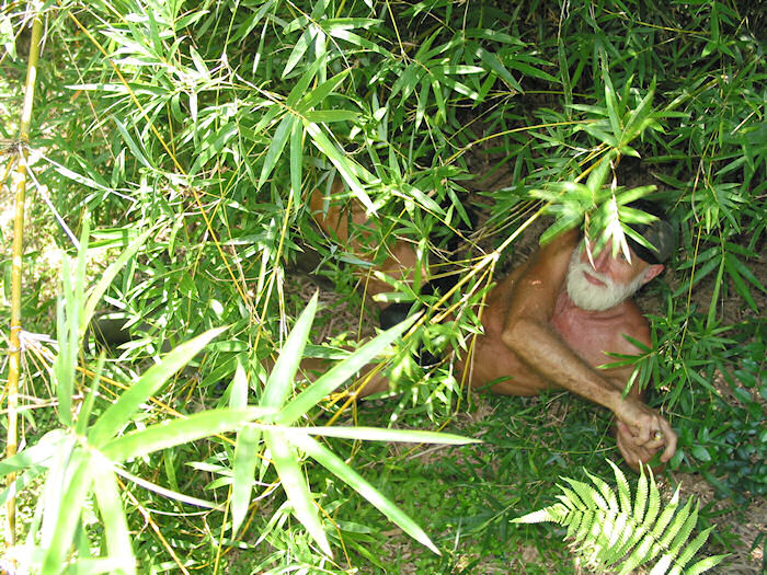 Is there a bamboo exit on this end?