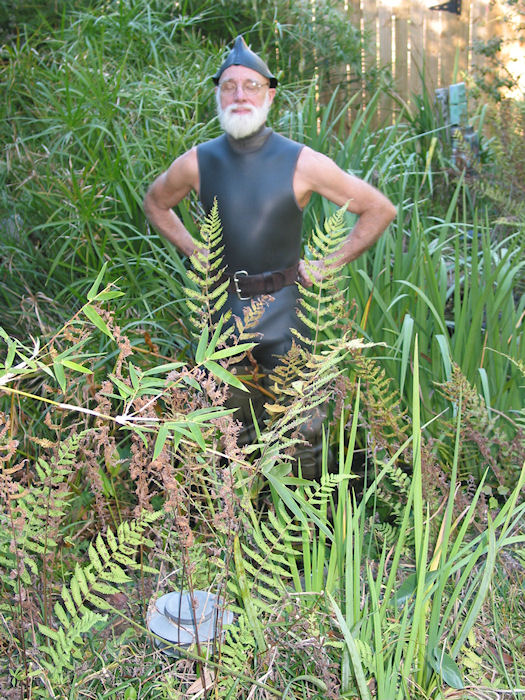 Fern-covered Rubberman