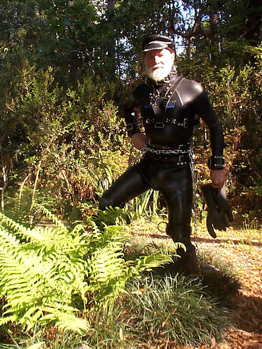 Chains and Harness and Harold