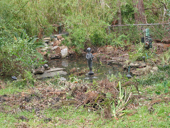 LeatherOaks Pond De-Debrised