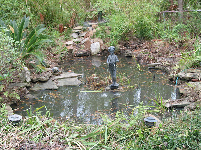Turgid Waters in Leather Oaks Pond