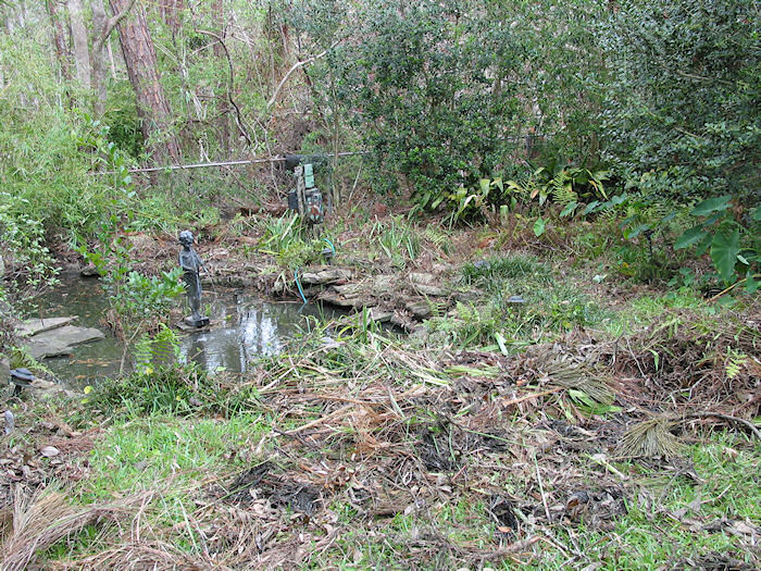 Removed Vegetation