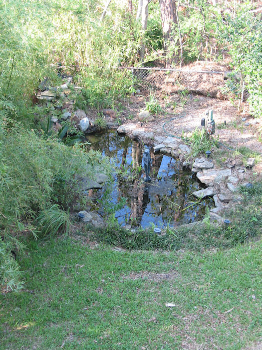 Leather Oaks Pond from above