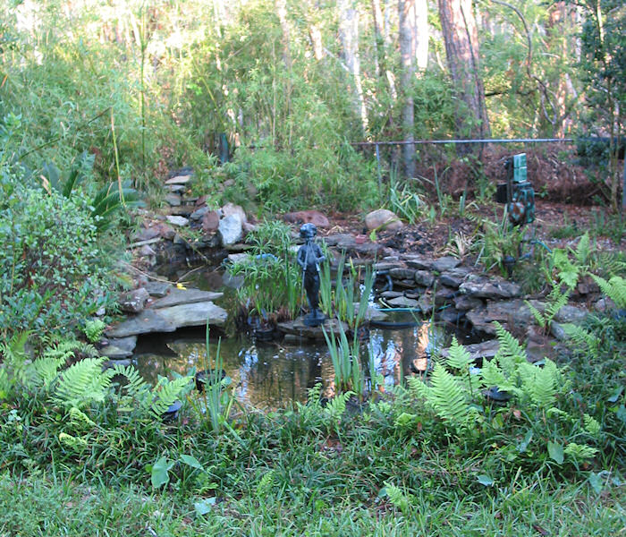 Leather Oaks Pond on the Ides of October