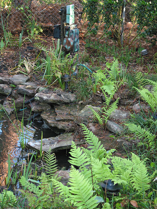 Rubber Creek joining Leather Oaks Pond