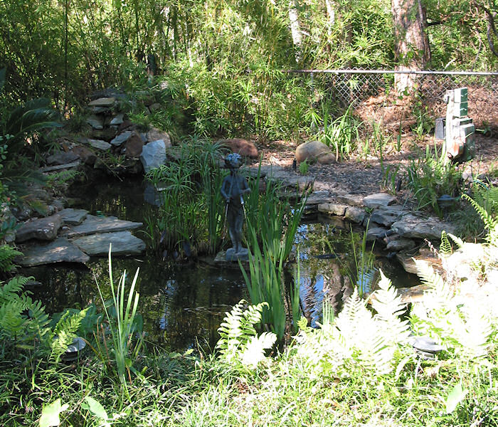 LeatherOaks Pond on October 23rd