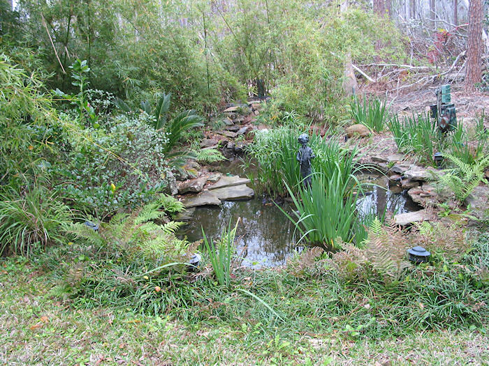 Leather Oaks Pond in a New Year