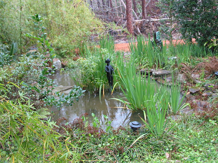 Murky Leather Oaks pond overlooking red dirt breakline