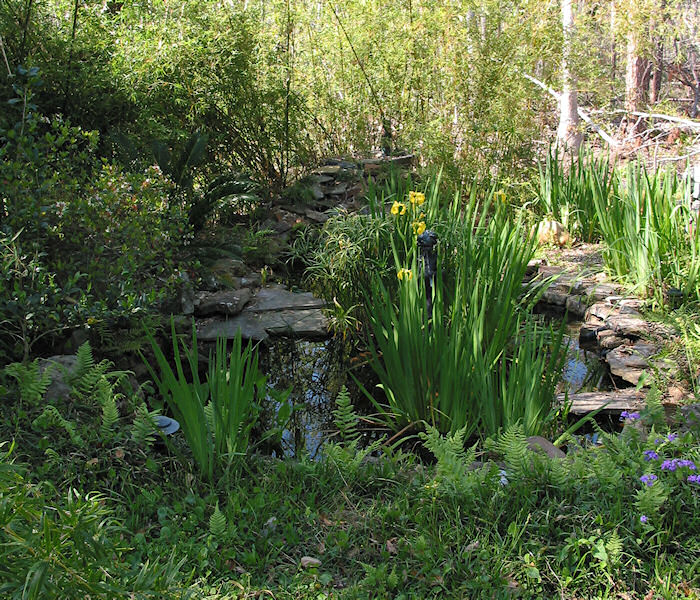 Leather Oaks Pond in early Spring