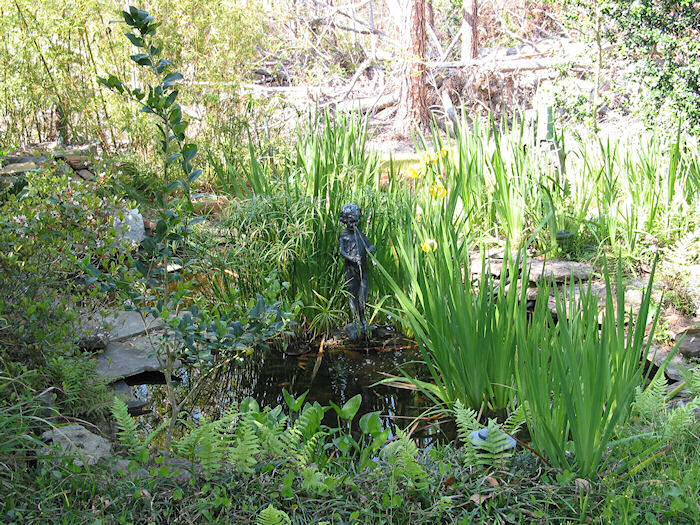 Leather Oaks Pond in March 2005