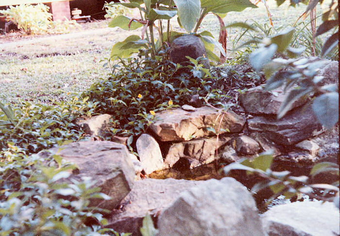 The Little Leather Oaks Pond