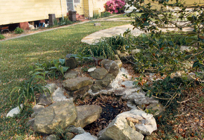 Azaleas backdrop to dry pond