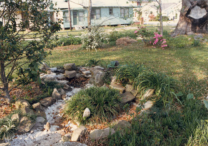 The too-shallow Leather Oaks Pond!