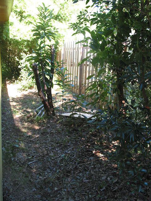 East Garage Site Clearing