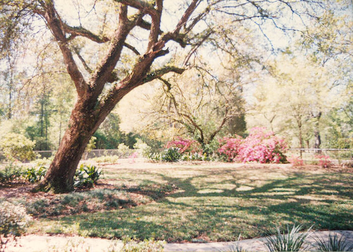 View to the SouthWest