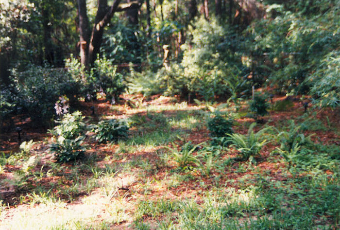 Deeper into the Marsh