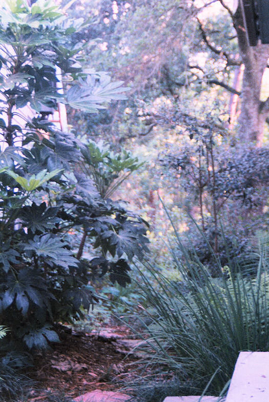 Mysterious Tunnel in Fog