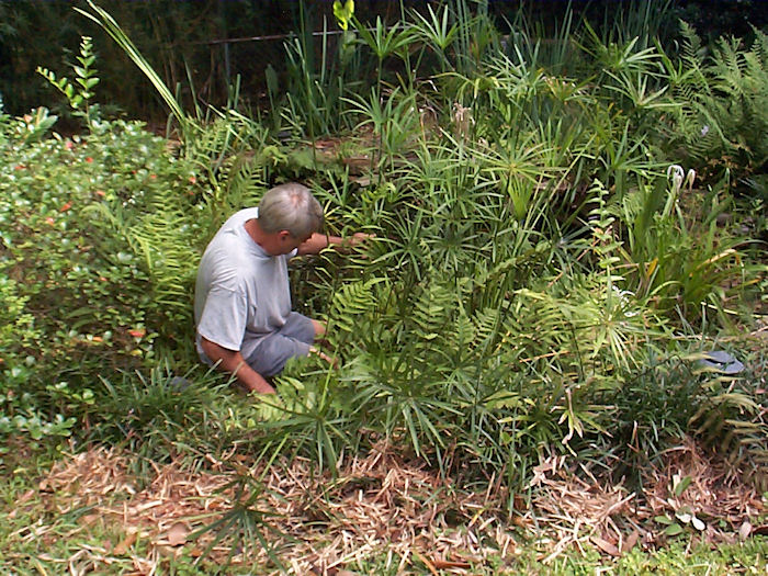 Pat plotting strategy