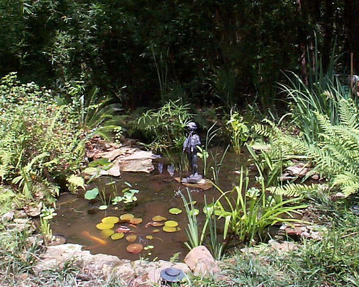 Leather Oaks Pond afer Makeover