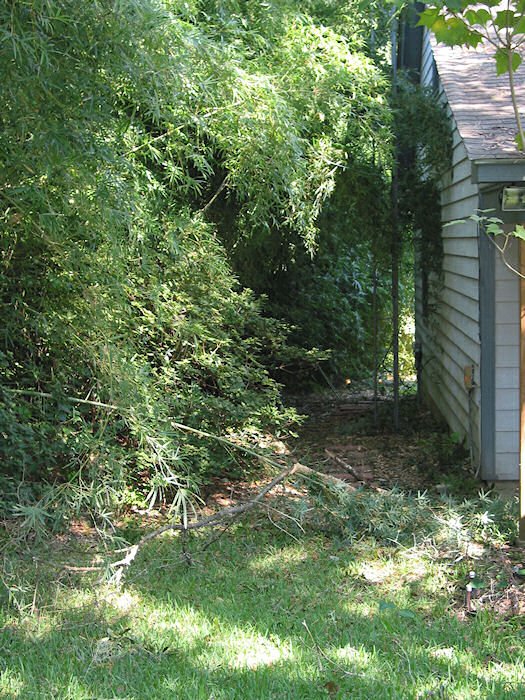 Other end of West side path!