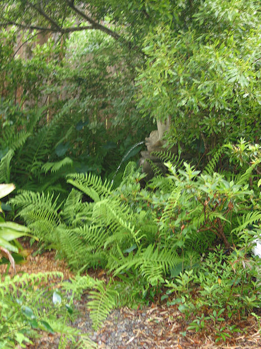 Moving along the Marshy Path