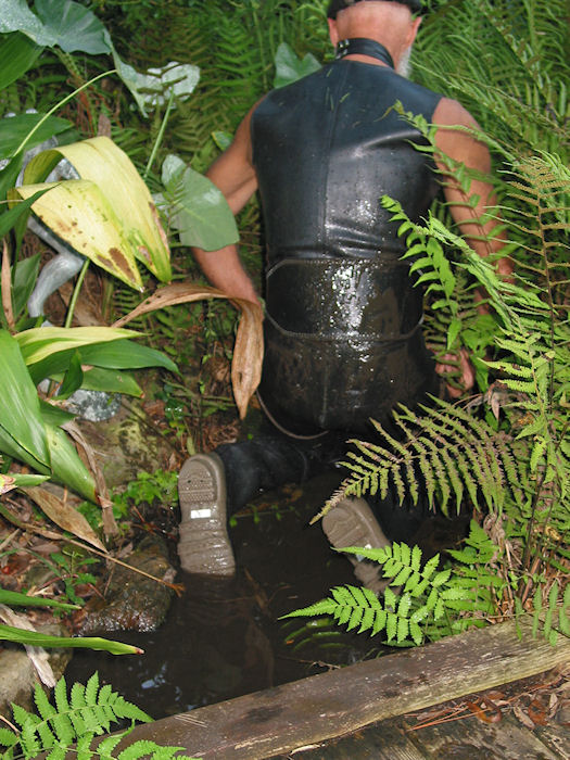 Muck-based Rubberman observes the Rapids