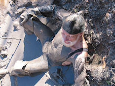 Returning to the wallow