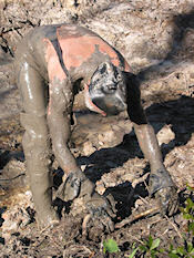 One muddy step for Harold