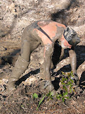 One giant leap for mudkind