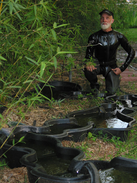 Pleather Suit behind Skeletal Stream