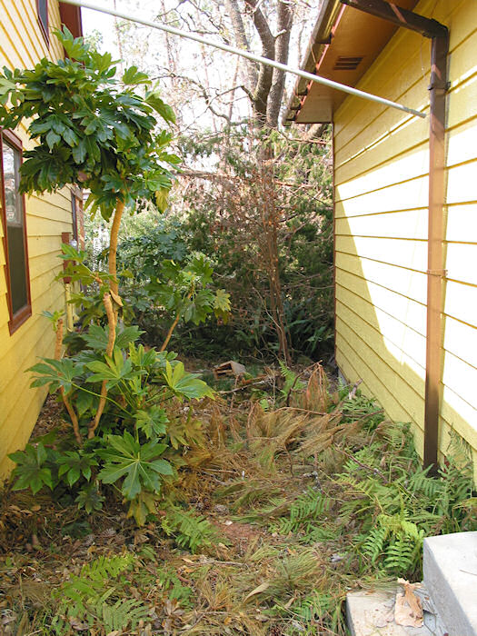 Magic Tunnel aftermath