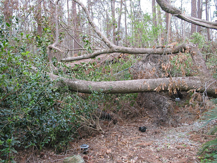 Another Impassable Path