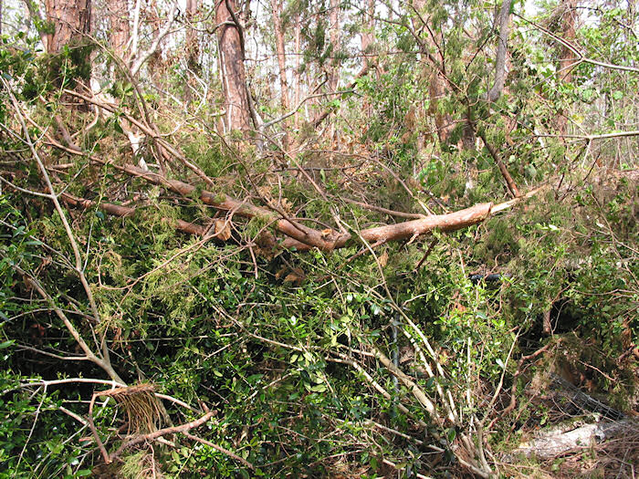 Fenceline Debris Toss