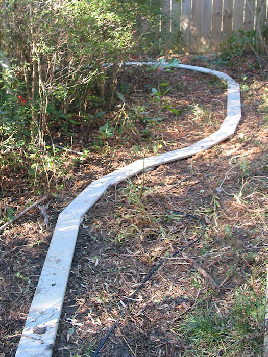 Nandina Corner from the South