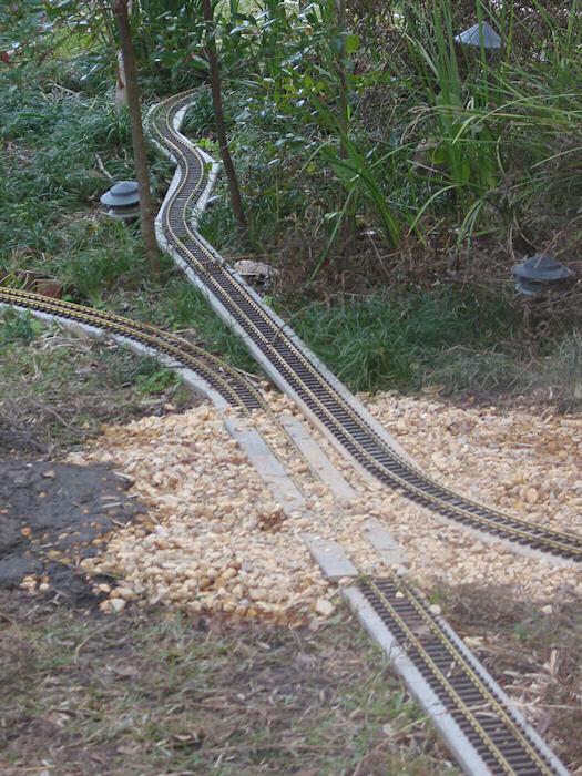 Marshy Path Crossing Viewed from the East