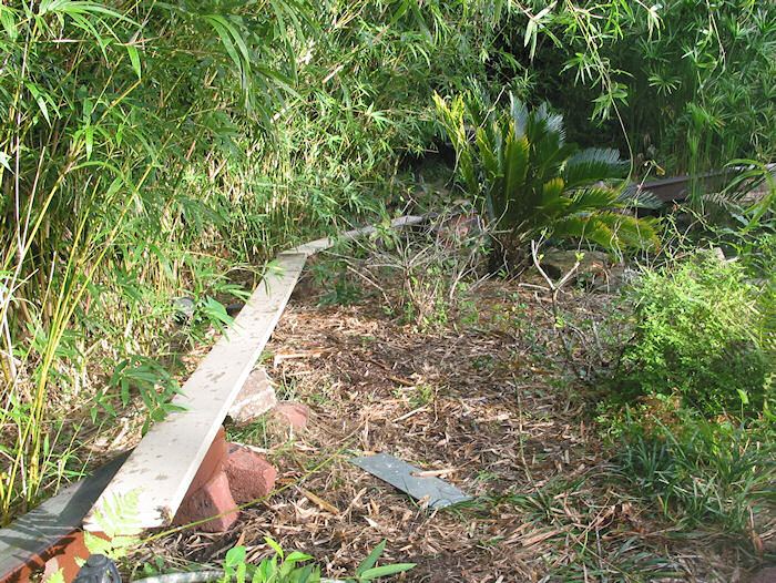 Cane Brake to Frozen Frog Falls