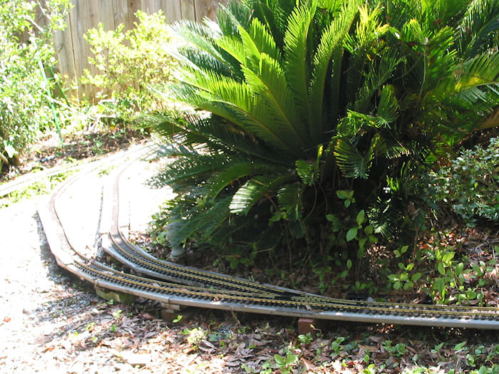 Sago Palm Grade Improvement View