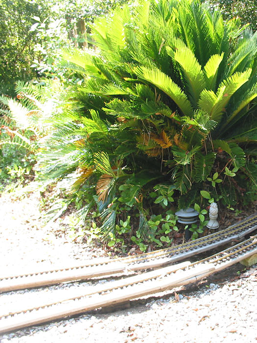 Grade Crossings to be Raised