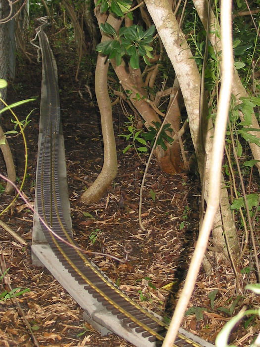 Running along the Fenceline